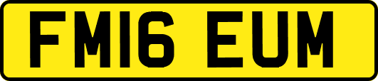 FM16EUM
