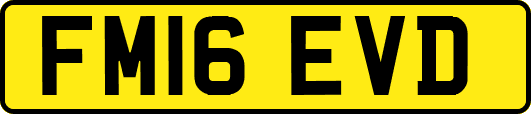 FM16EVD