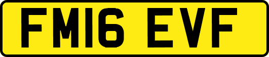 FM16EVF