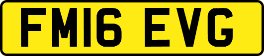 FM16EVG