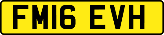 FM16EVH