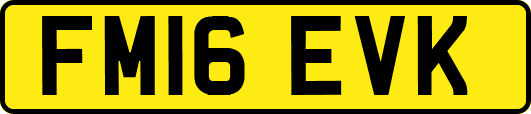 FM16EVK
