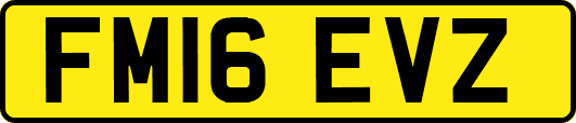 FM16EVZ