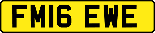 FM16EWE