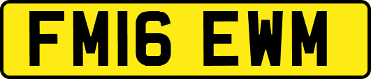 FM16EWM