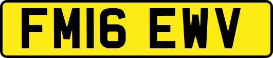 FM16EWV