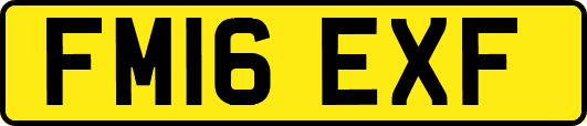 FM16EXF