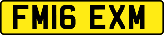 FM16EXM