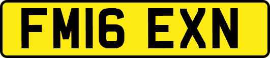 FM16EXN
