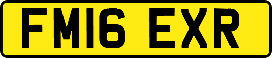 FM16EXR