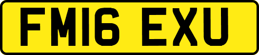 FM16EXU