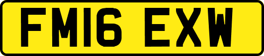 FM16EXW