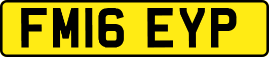 FM16EYP