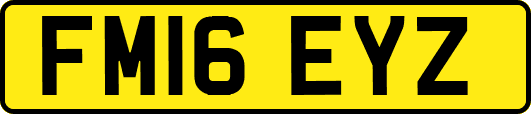 FM16EYZ