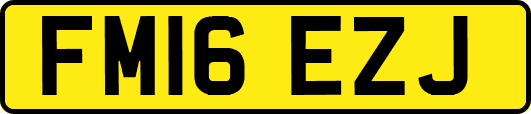 FM16EZJ