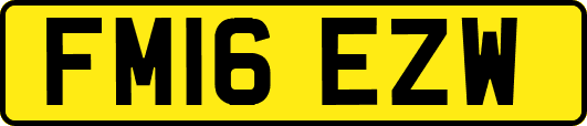 FM16EZW