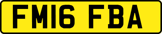 FM16FBA