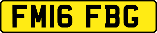 FM16FBG