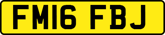 FM16FBJ