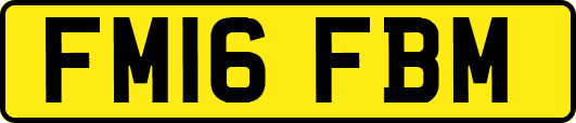 FM16FBM