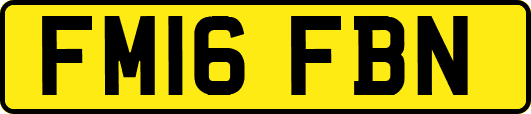 FM16FBN