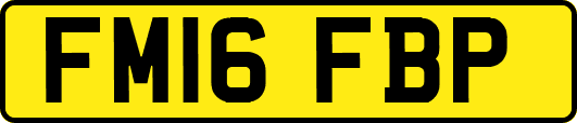 FM16FBP