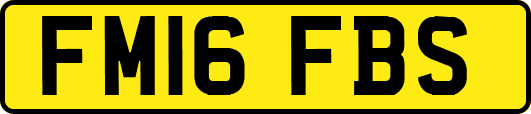 FM16FBS