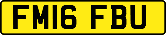 FM16FBU