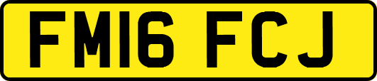 FM16FCJ