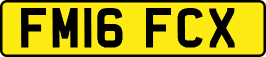 FM16FCX
