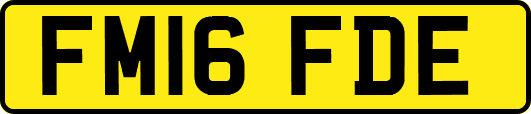 FM16FDE