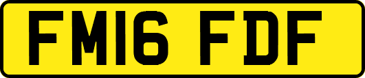 FM16FDF
