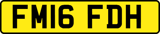 FM16FDH