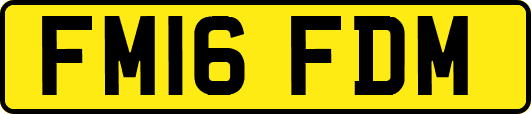 FM16FDM