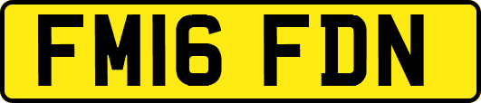 FM16FDN