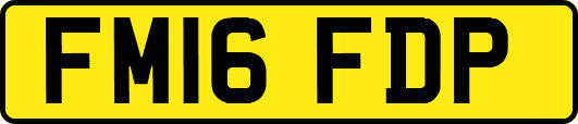 FM16FDP