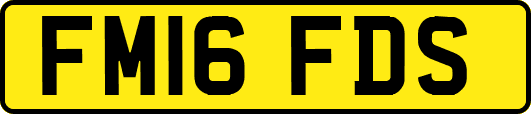 FM16FDS