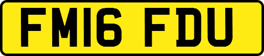 FM16FDU