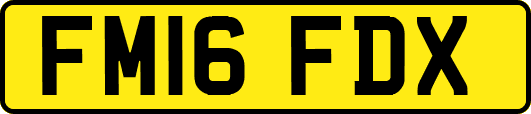 FM16FDX