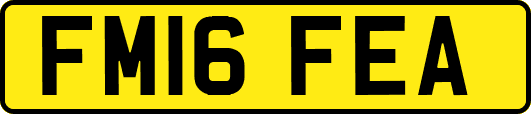 FM16FEA