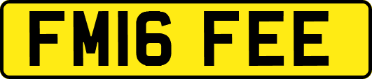 FM16FEE
