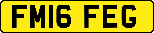FM16FEG