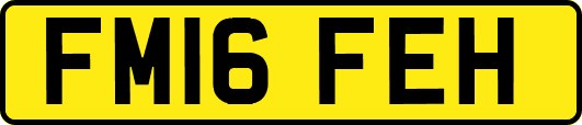 FM16FEH