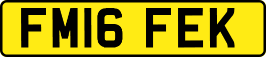FM16FEK
