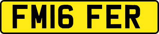 FM16FER