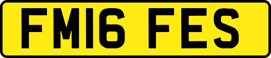 FM16FES