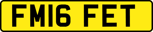 FM16FET