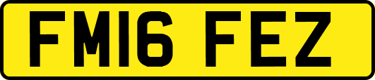 FM16FEZ