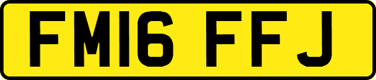 FM16FFJ