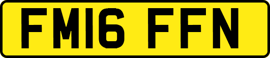 FM16FFN